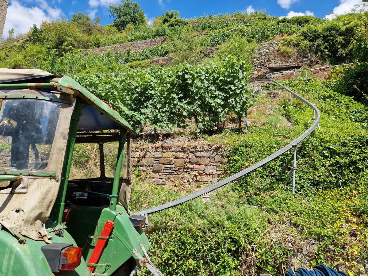 Weingut Haxel 2* Cochem